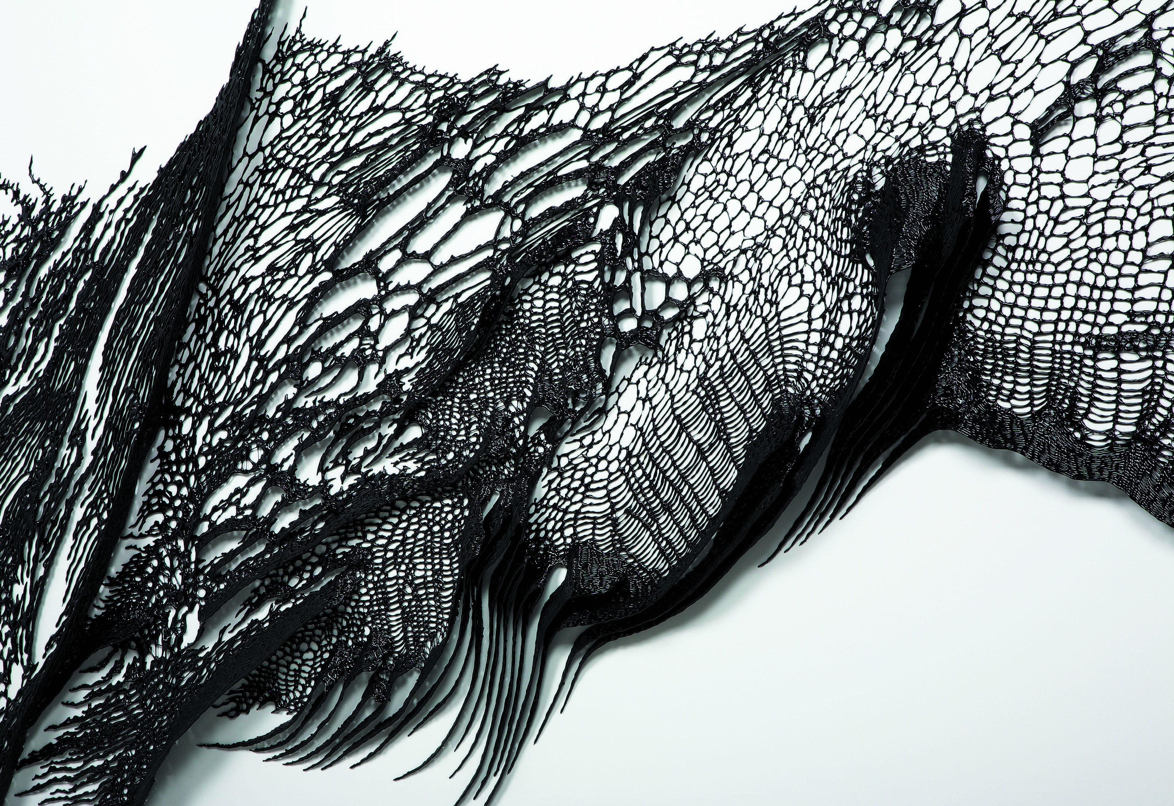 黒を媒介し、立ち上がる知覚｜名和晃平 INTERVIEW - 黒の研究所